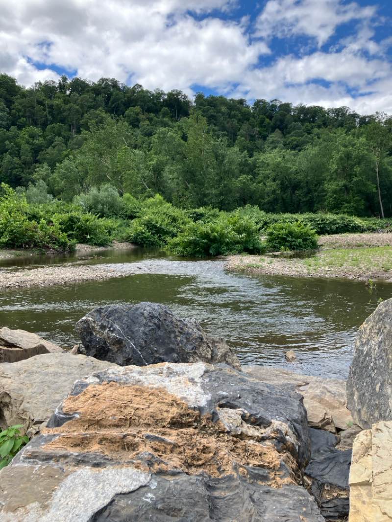 walking near me in Fernville Family Park in winter