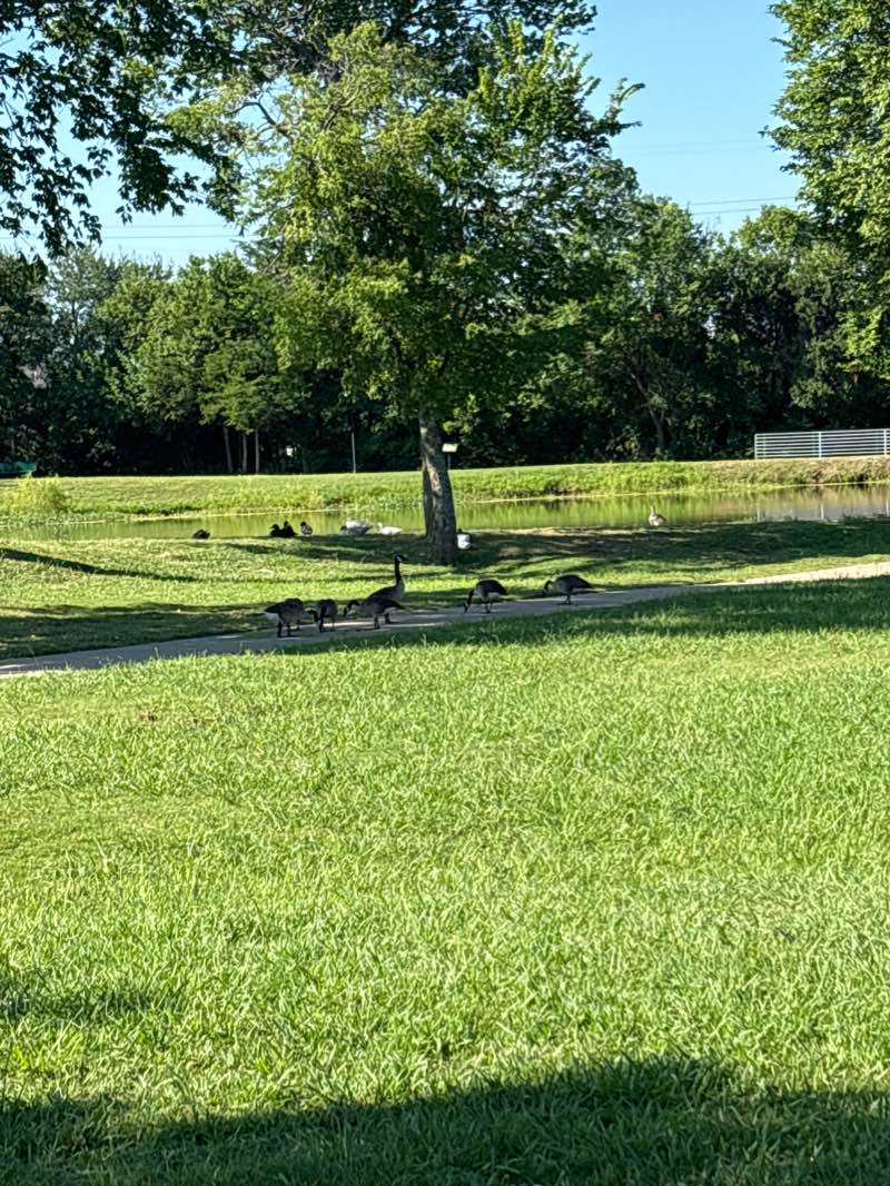 walking near me in Sanora Park in winter