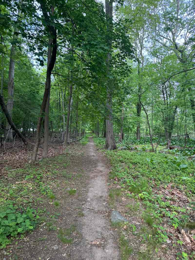 walking near me in Lower Faber Field in spring