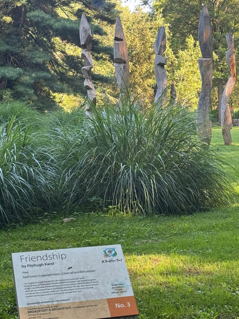 walking near me in Laurelwood Arboretum in summer