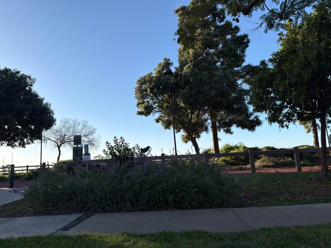 walking near me in Ingold Park in winter