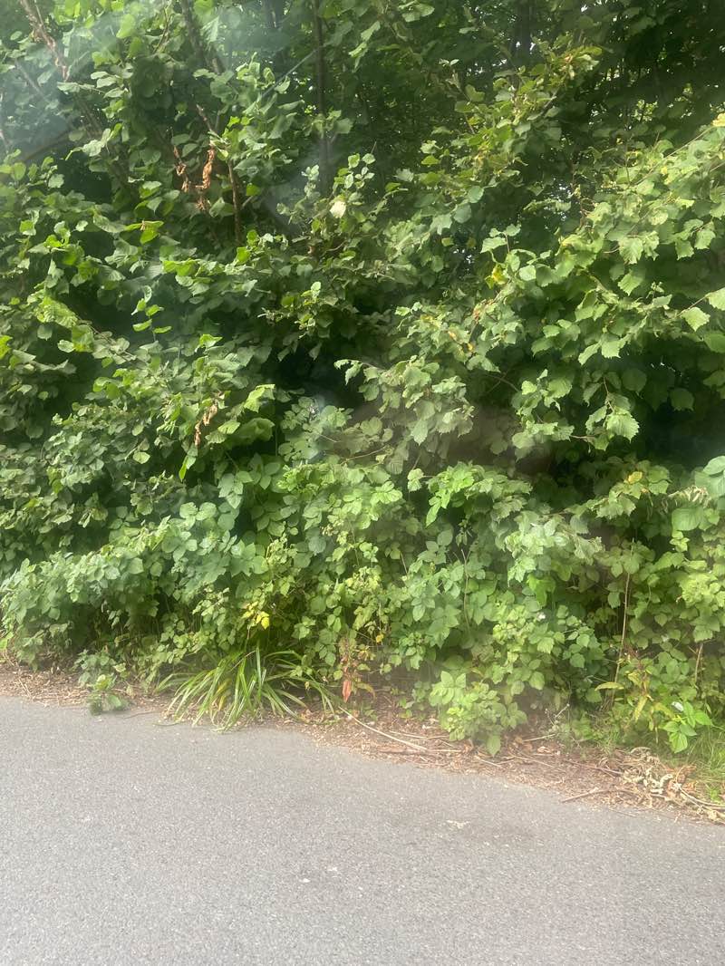 walking near me in Crowborough Country Park in autumn