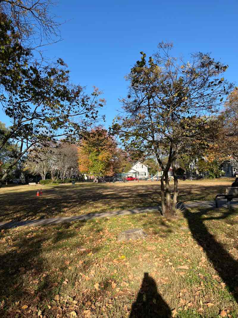 walking near me in Franklin Park in autumn