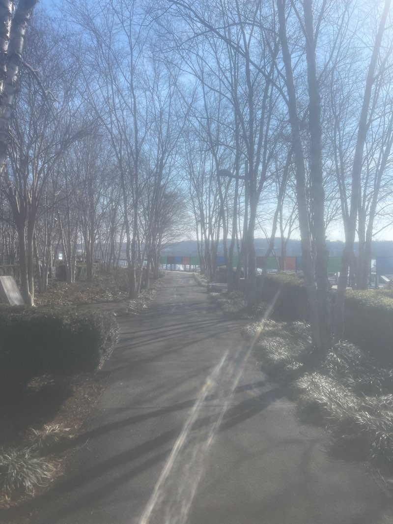 walking near me in The Yards Park in winter