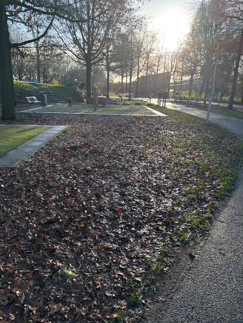 walking near me in Meerpark in autumn