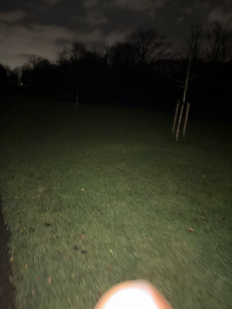 walking near me in Seringenpark in winter