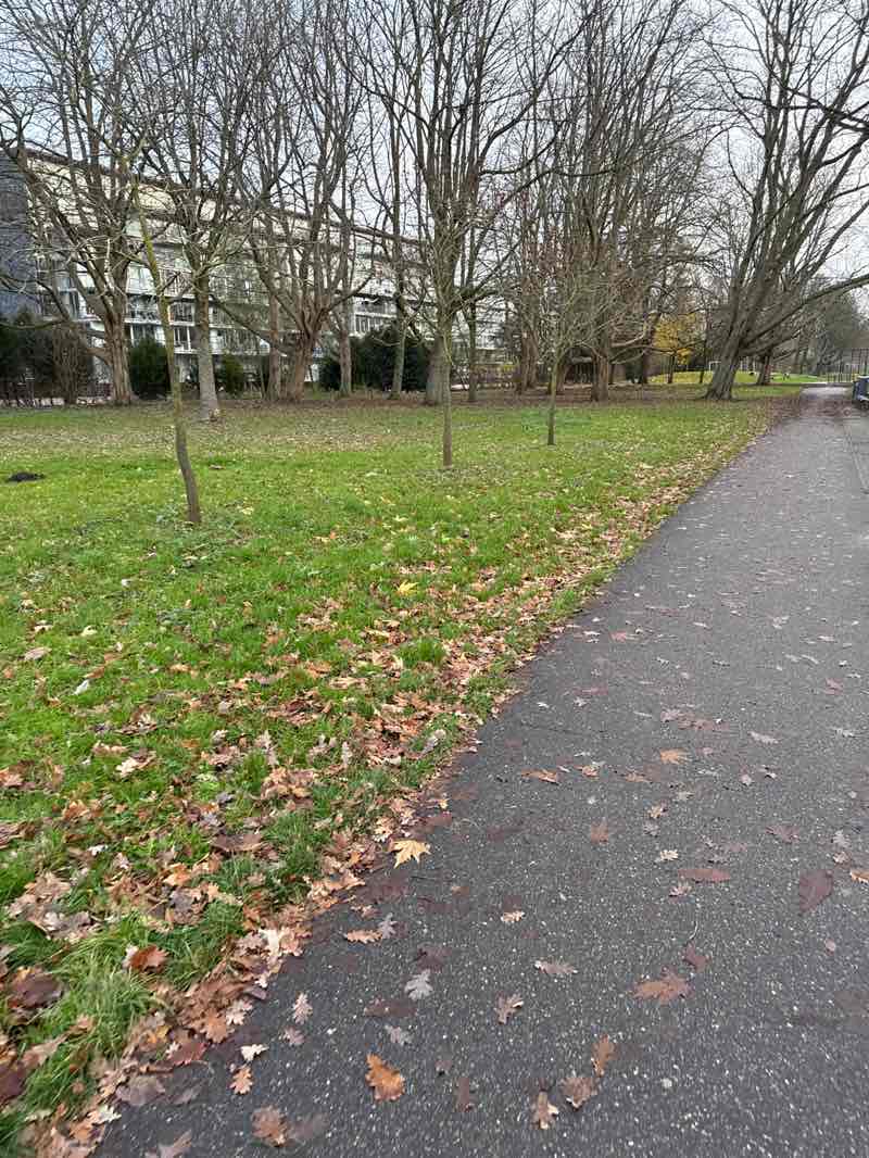 walking near me in Botteskerkpark in winter