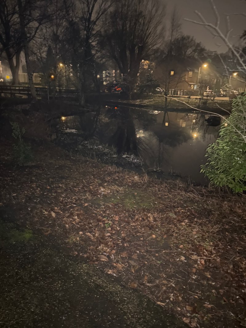 walking near me in Wilhelminaparkje in winter