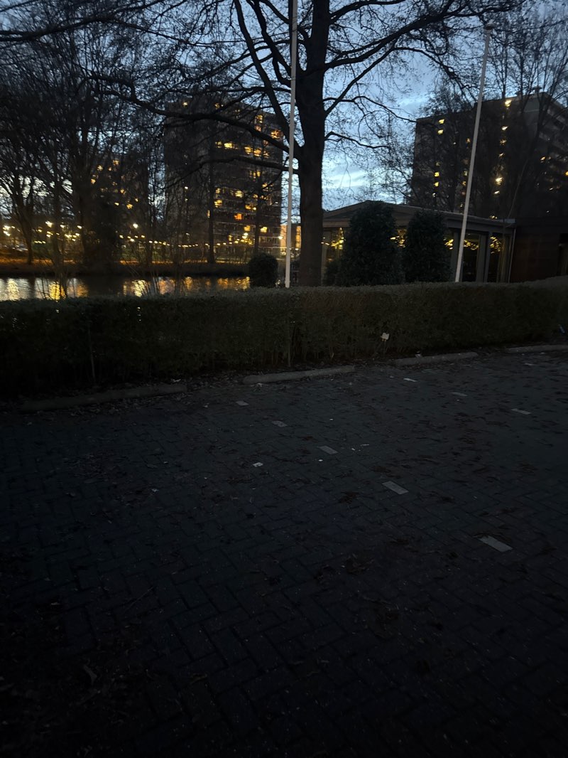 walking near me in Park Kronenburg in winter