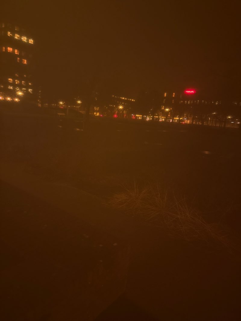 walking near me in Stadstuinen in winter