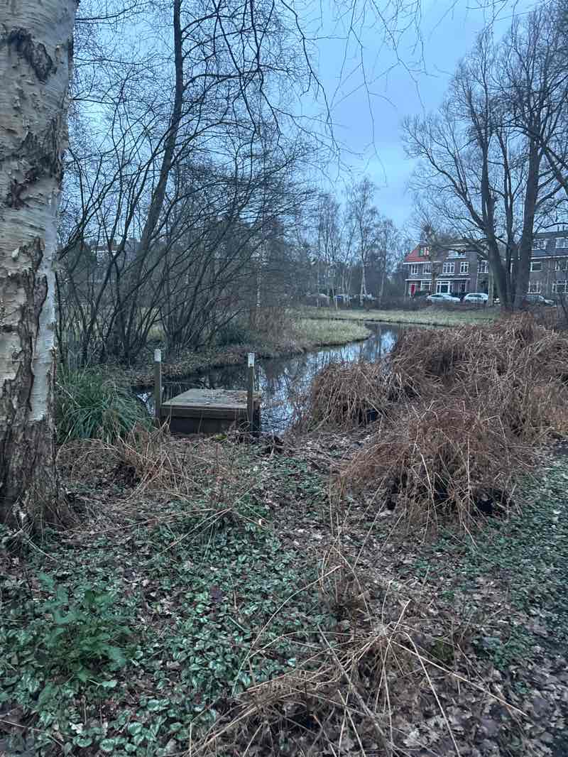 walking near me in Dr. Koos Landwehrpark in winter