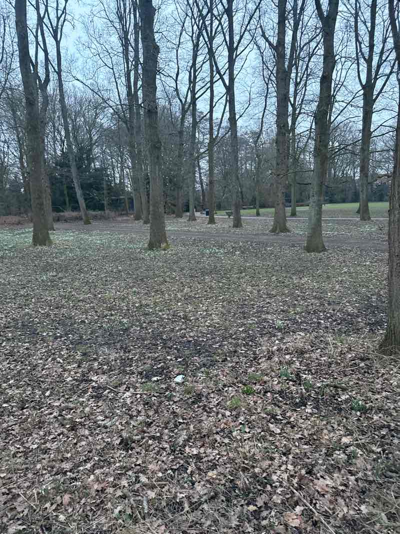 walking near me in Park De Ruijschlaan in winter