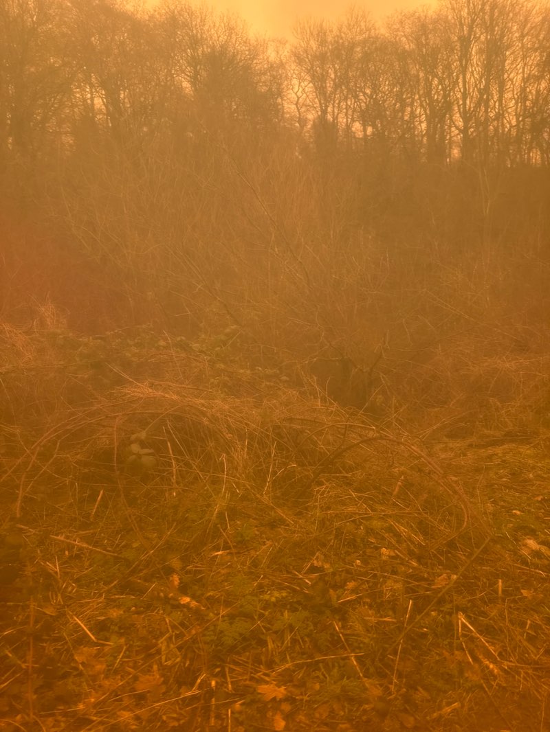walking near me in Daisy Nook Country Park in winter