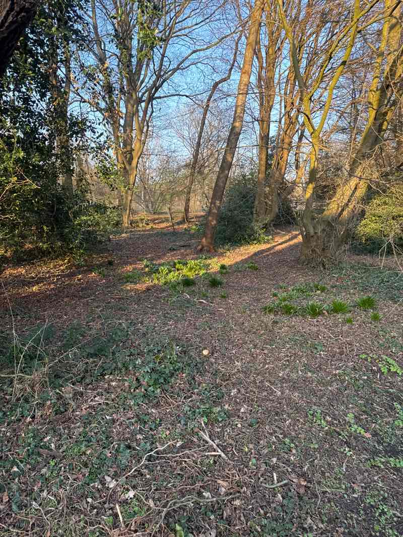 walking near me in Park Bos en Vaartlaan in spring