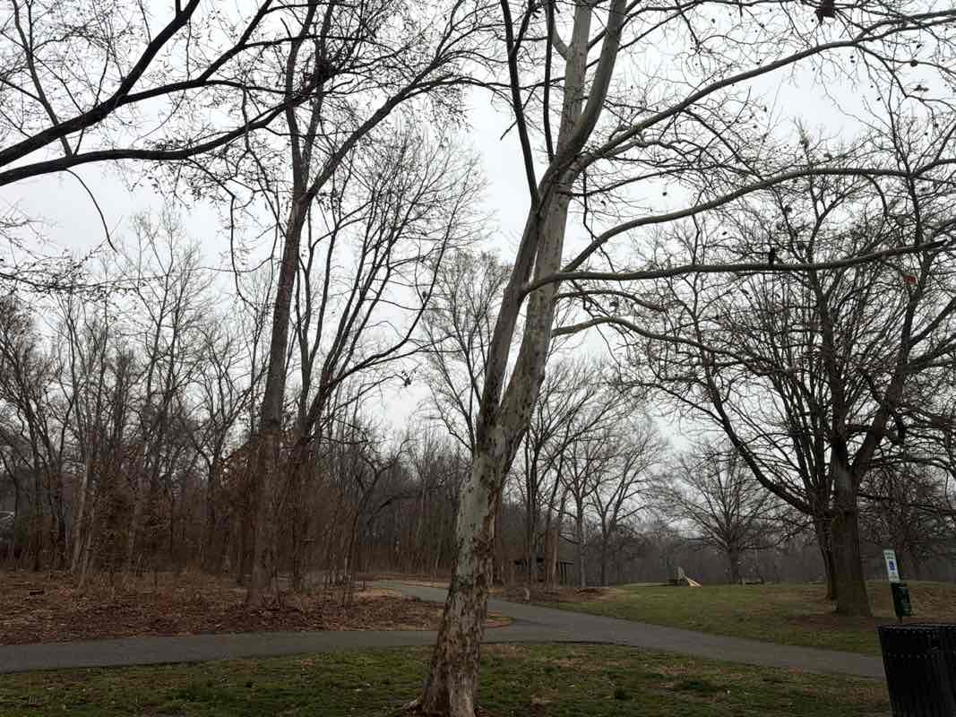 walking near me in Sugar Creek Park in spring