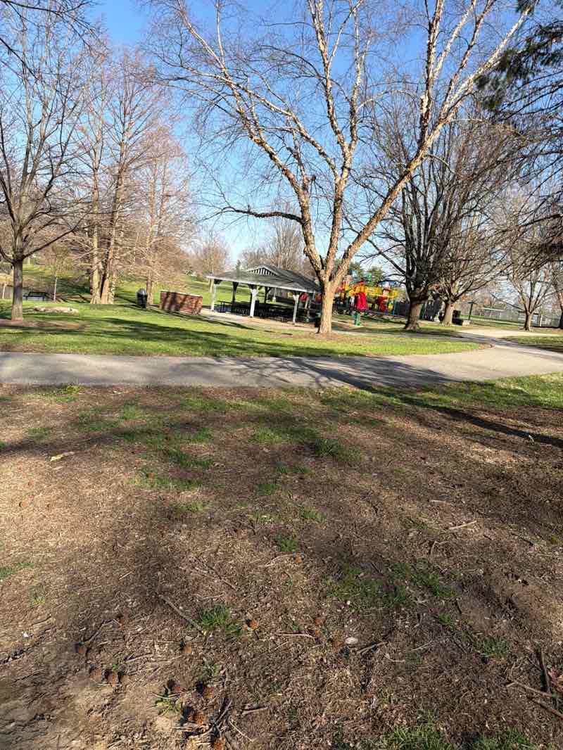 walking near me in Des Peres Park in spring