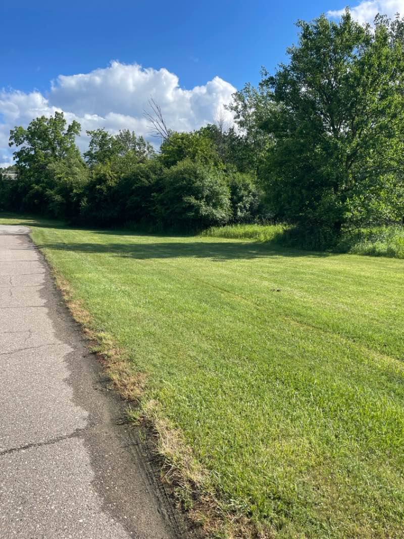 walking near me in Parkland Recreation Area in summer