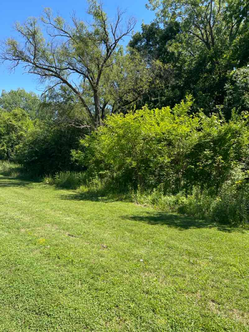 walking near me in Parkland Recreation Area in summer