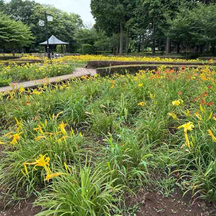 Qusanが歩く55 post 2