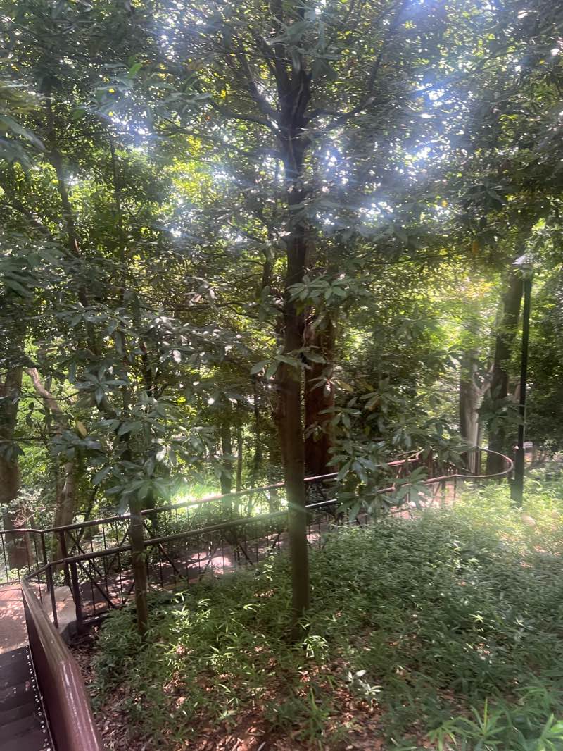 walking near me in 小池公園 in winter