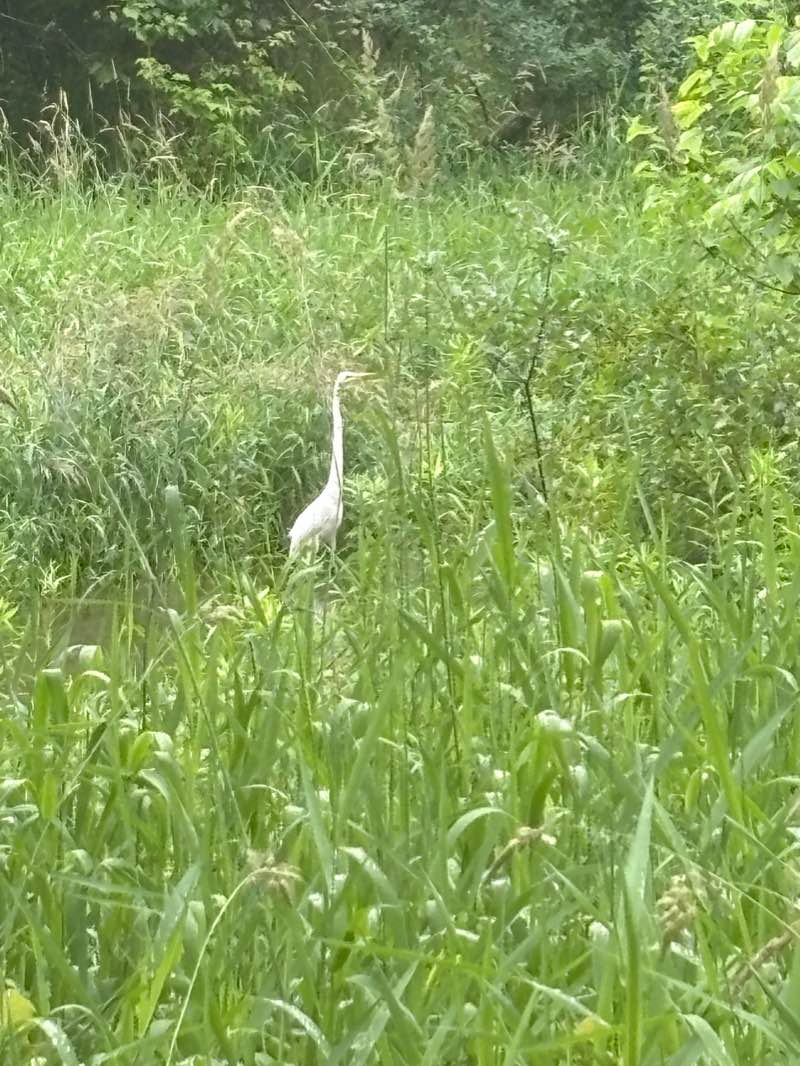 walking near me in River Valley Park in winter