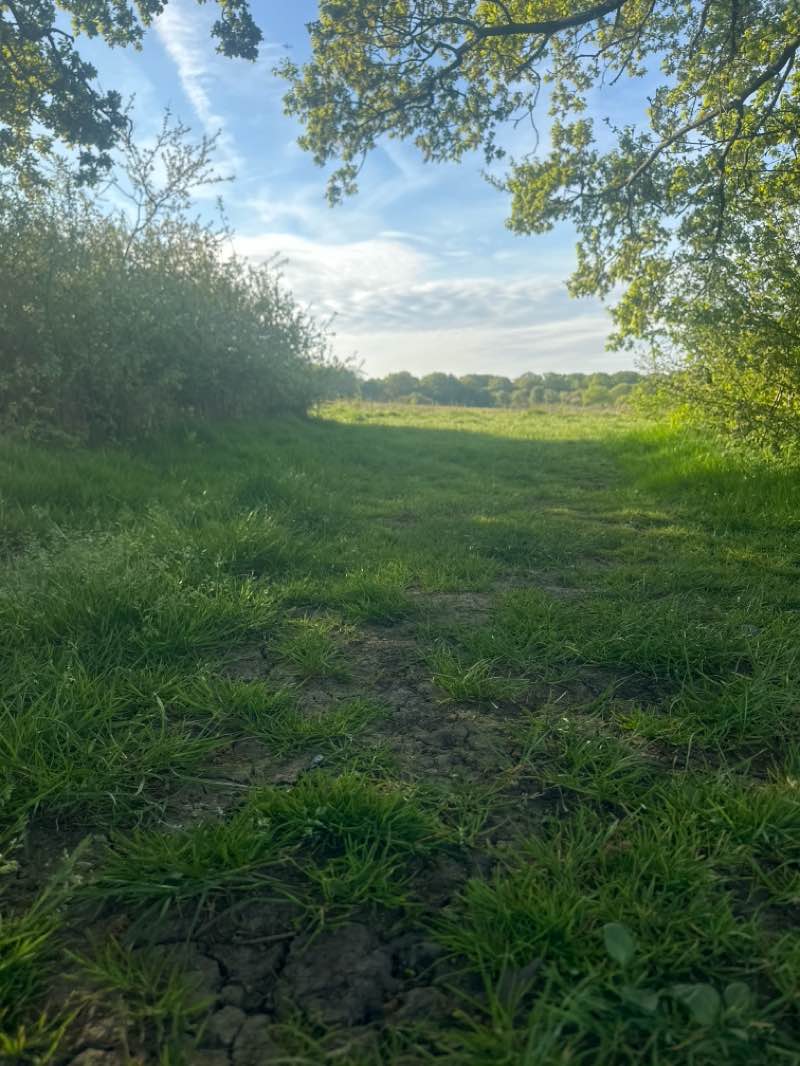 walking near me in Islip Manor Meadows in spring