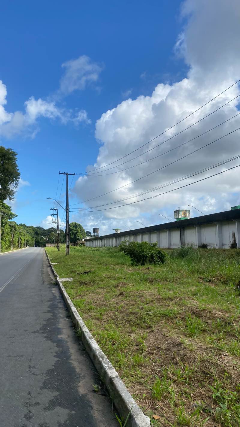 walking near me in Praça de Caetés 1 in summer