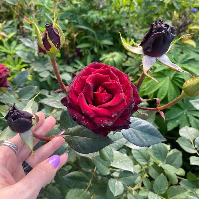 🔥 Марина 🔥 post 3