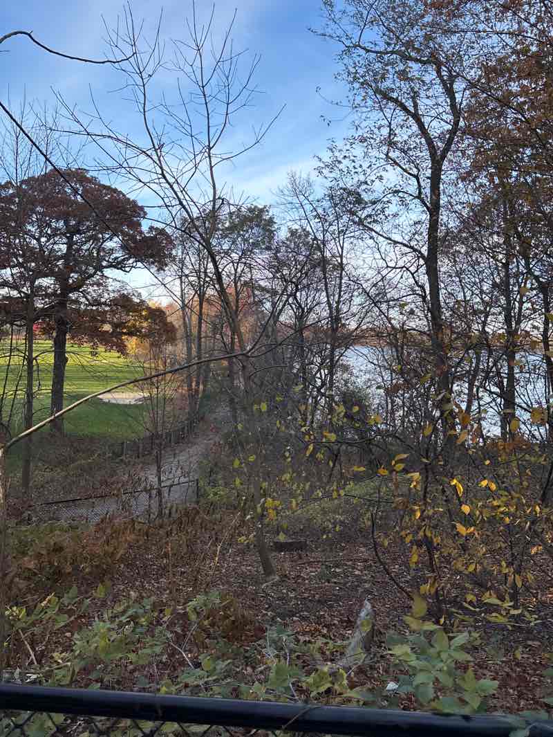 walking near me in Kingsley Park in autumn