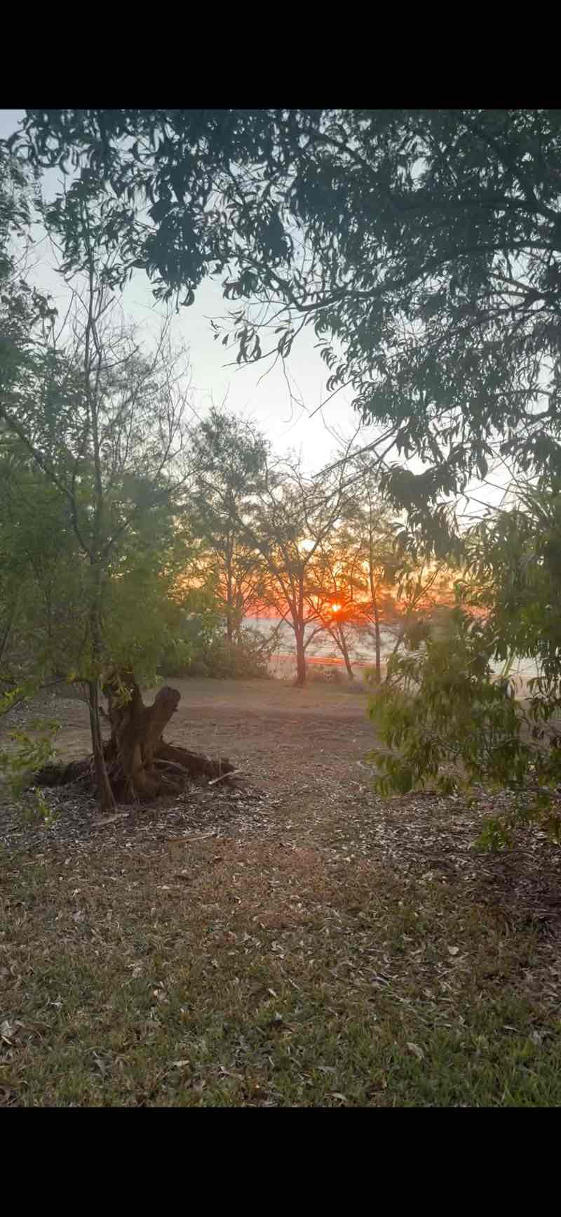 walking near me in Casuarina Coastal Reserve in spring