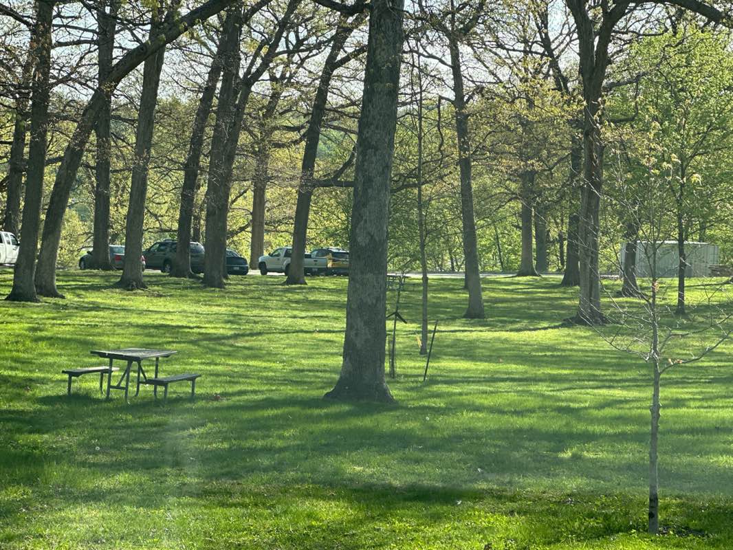 walking near me in City Park in spring