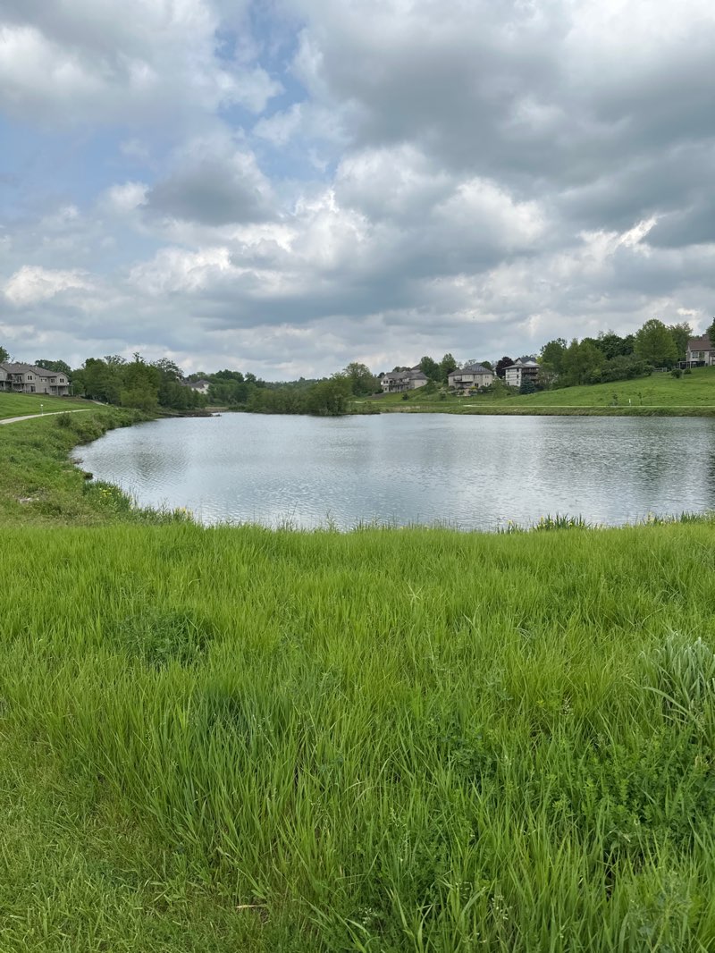 walking near me in Dovetail Recreational Area in summer