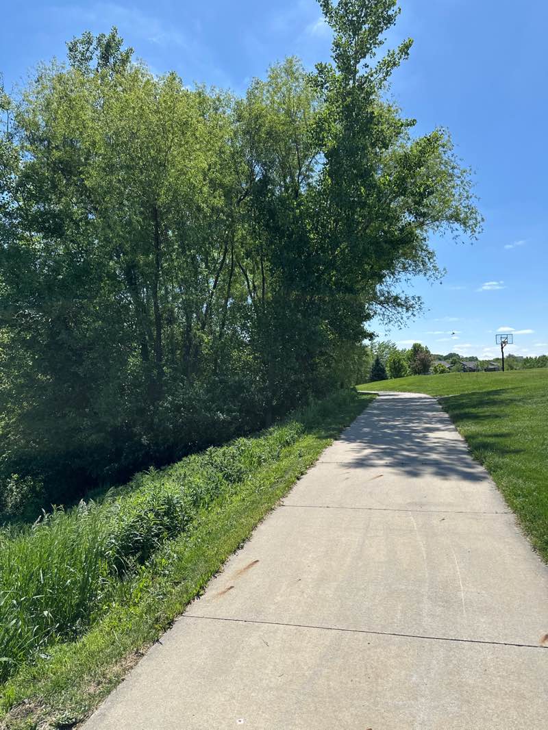 walking near me in Fox Valley Pond in summer