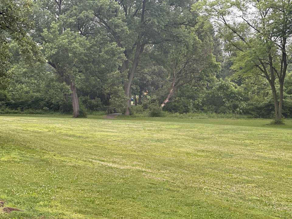 walking near me in Willow Creek Park in summer
