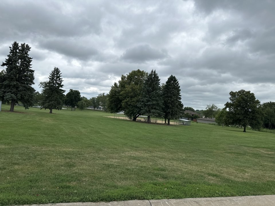 walking near me in S. T. Morrison Park in summer