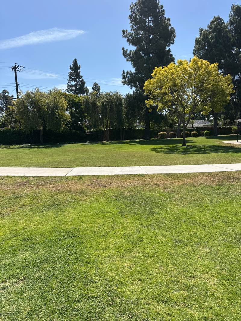 walking near me in Paularino Park in spring