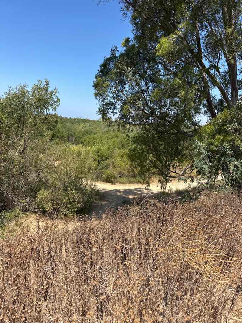 walking near me in Talbert Regional Park in summer