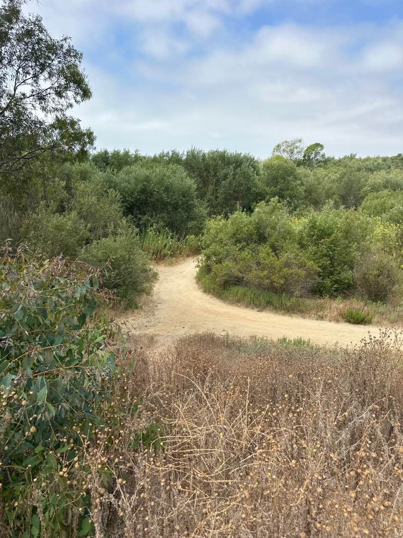 walking near me in Talbert Regional Park in summer