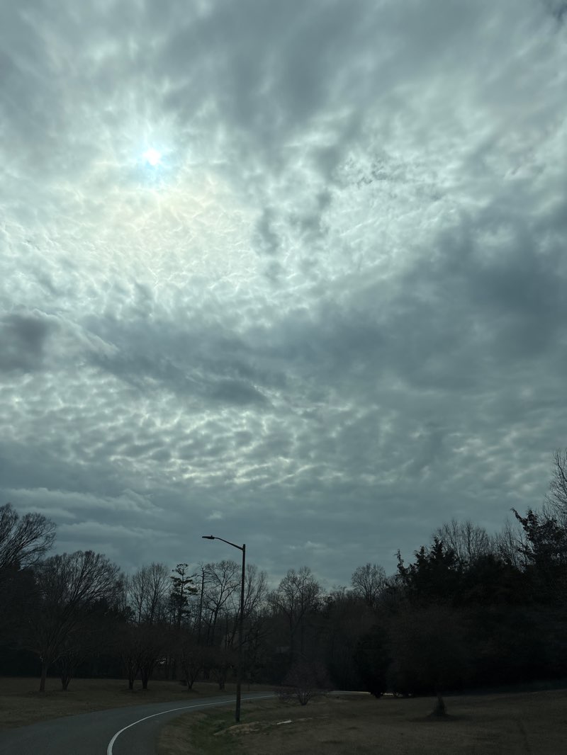 walking near me in Colonel Francis J. Beatty Regional Park in spring