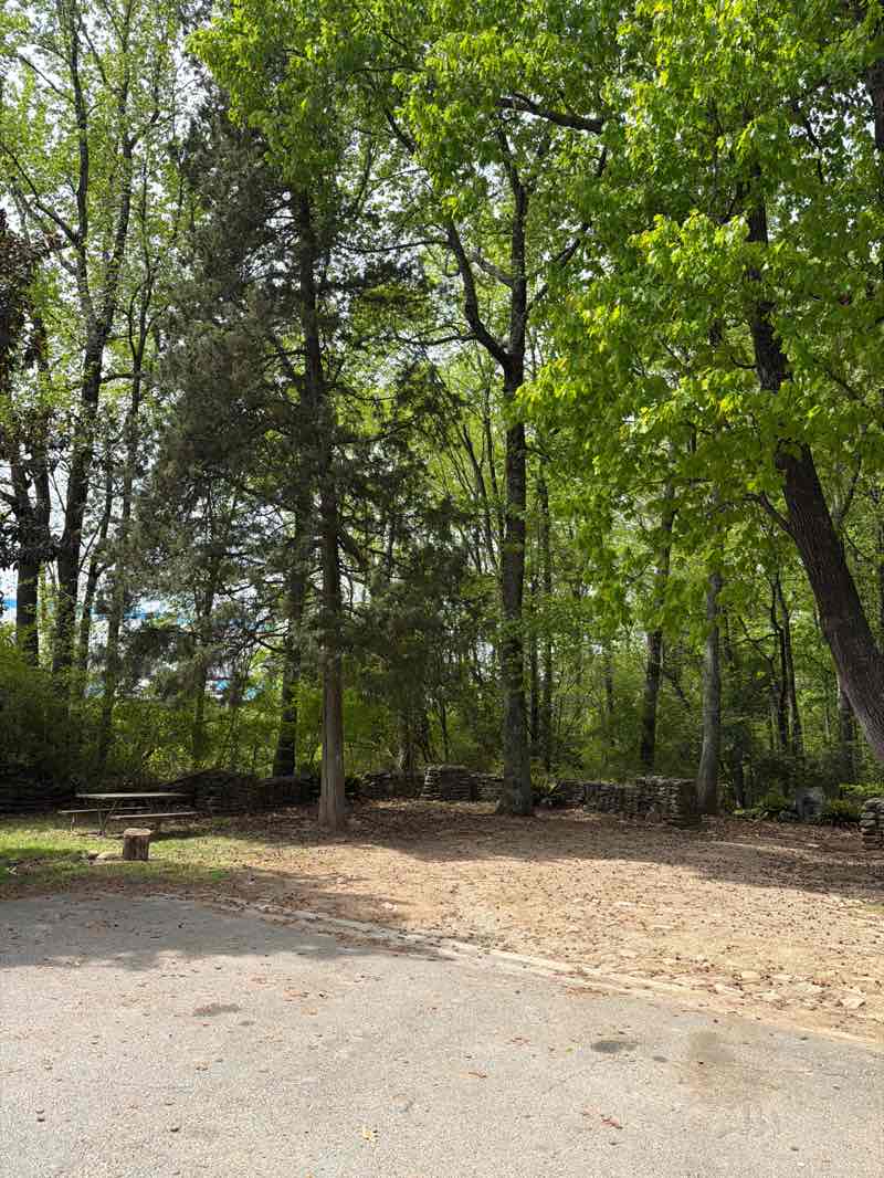 walking near me in Alexandriana Park in spring