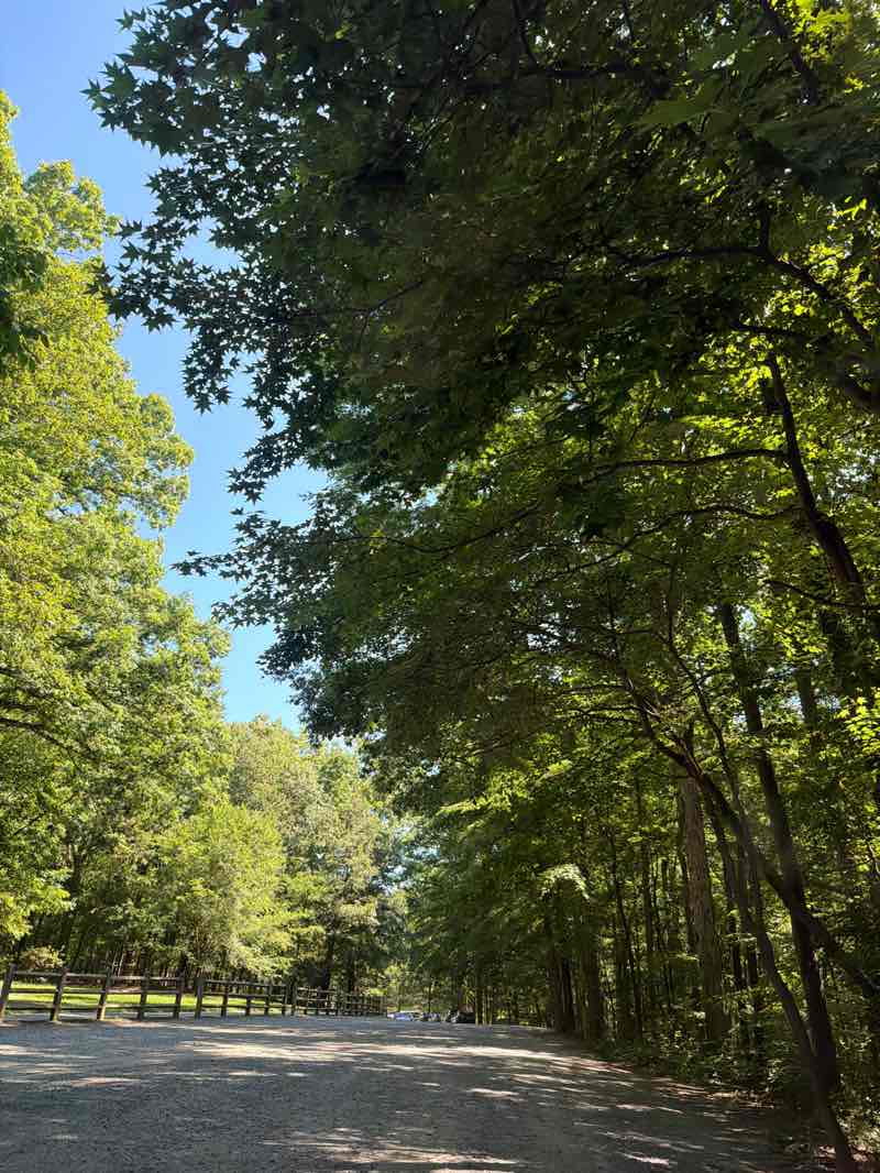 walking near me in Squirrel Lake Park in summer