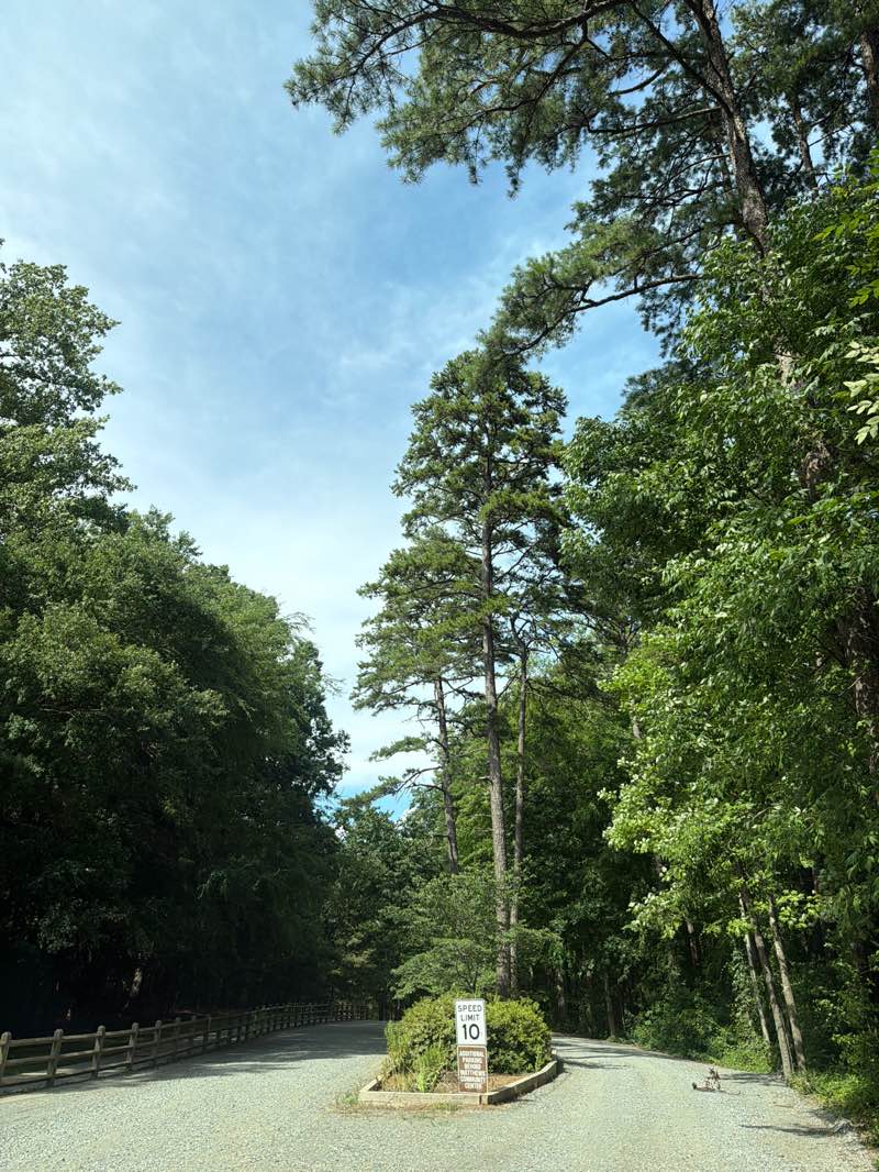 walking near me in Squirrel Lake Park in summer
