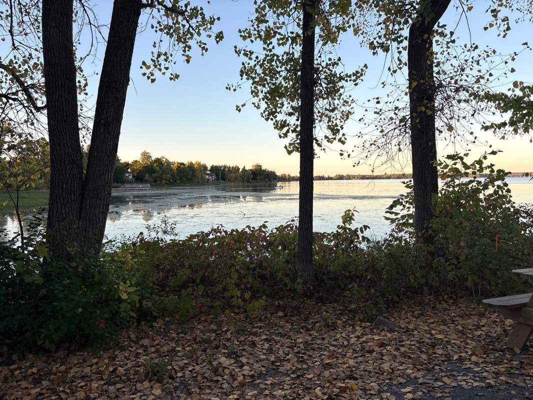 walking near me in Parc Paul-Gérin-Lajoie in autumn