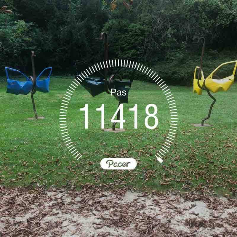 Muriel 😊☀️🌺 post 1