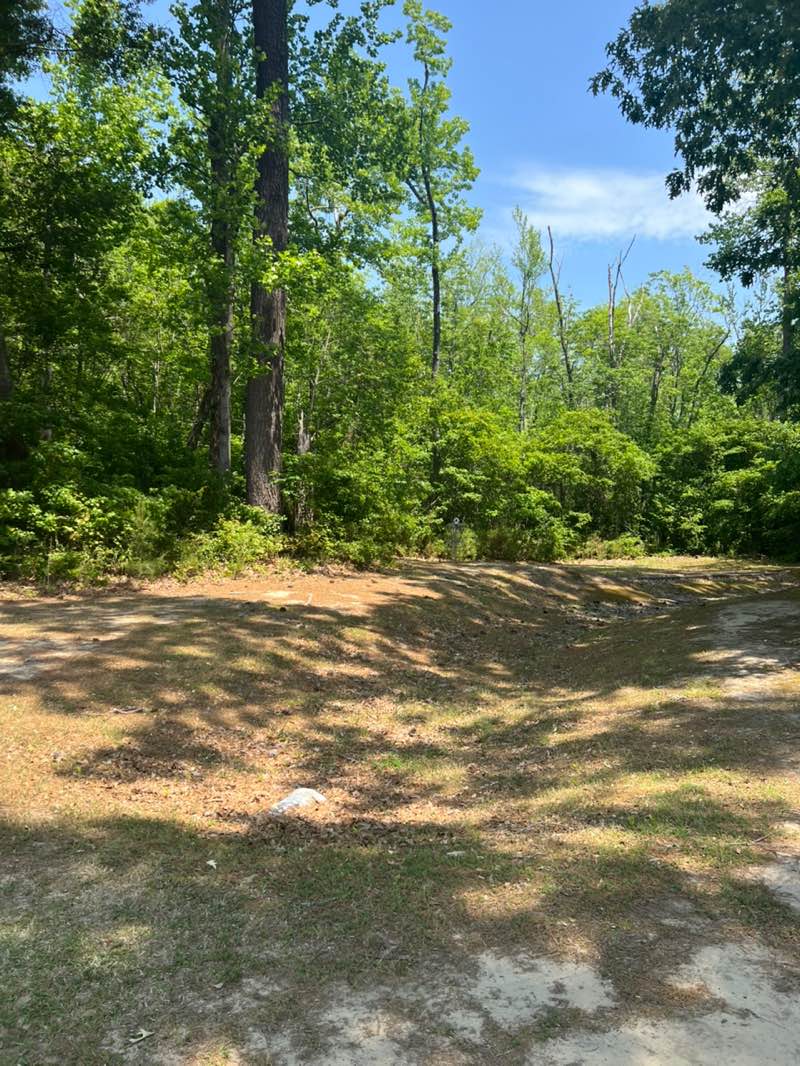 walking near me in Camden Community Park in spring