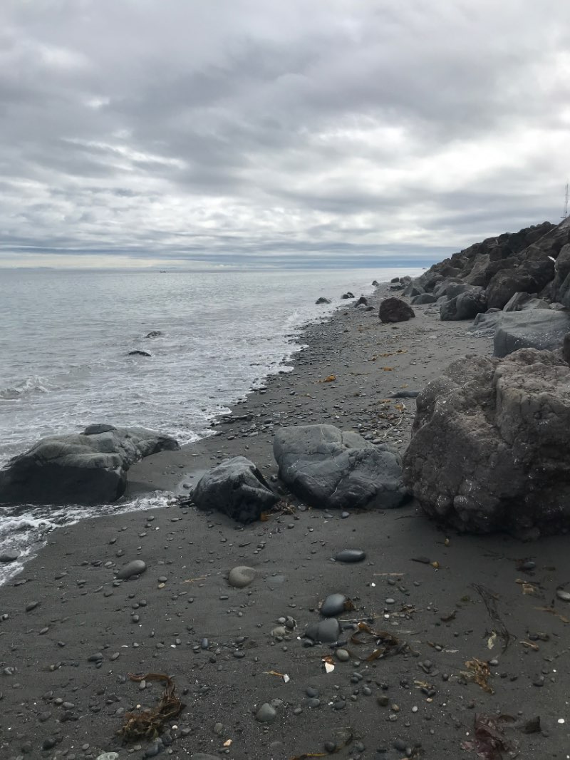 walking near me in Harborview Park in winter