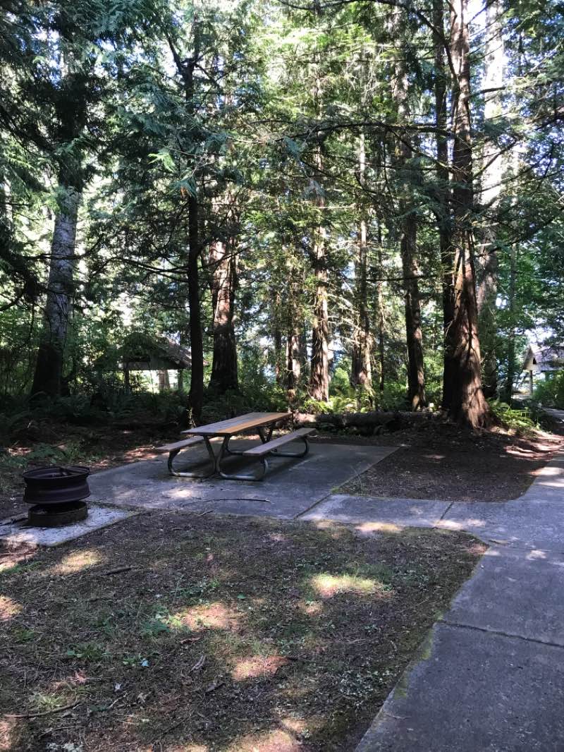 walking near me in Freshwater Bay Park in winter