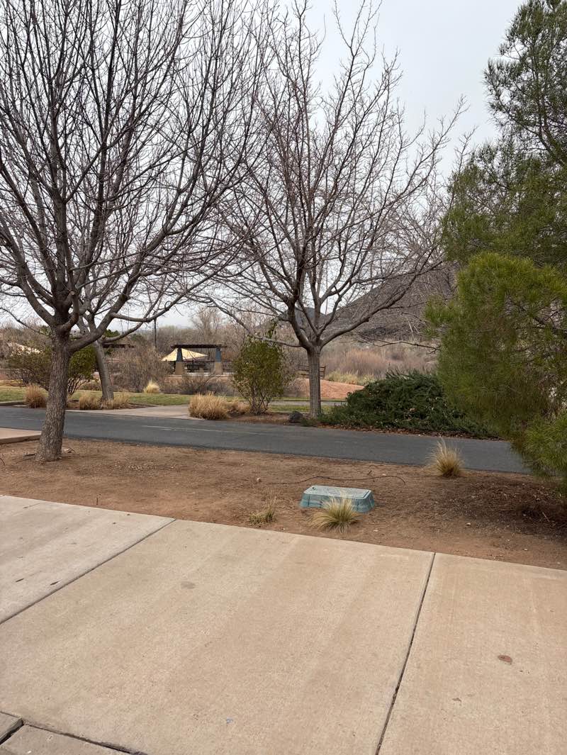 walking near me in Cottonwood Cove Park in winter