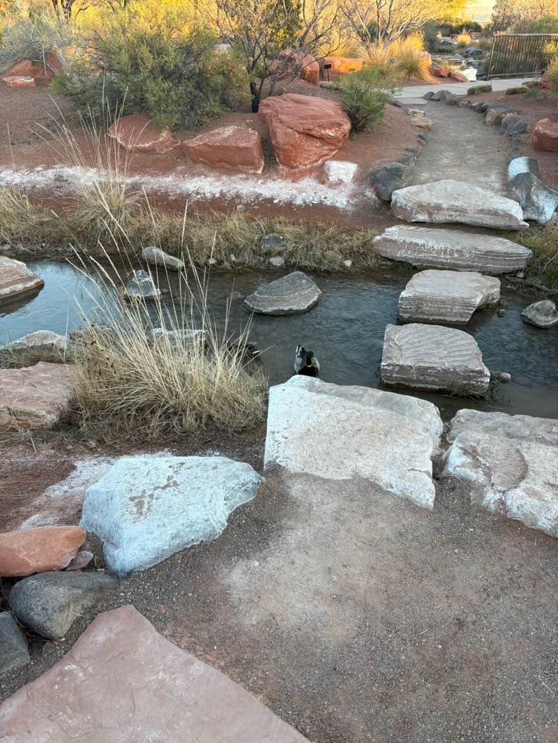 walking near me in Desert Garden Park in winter