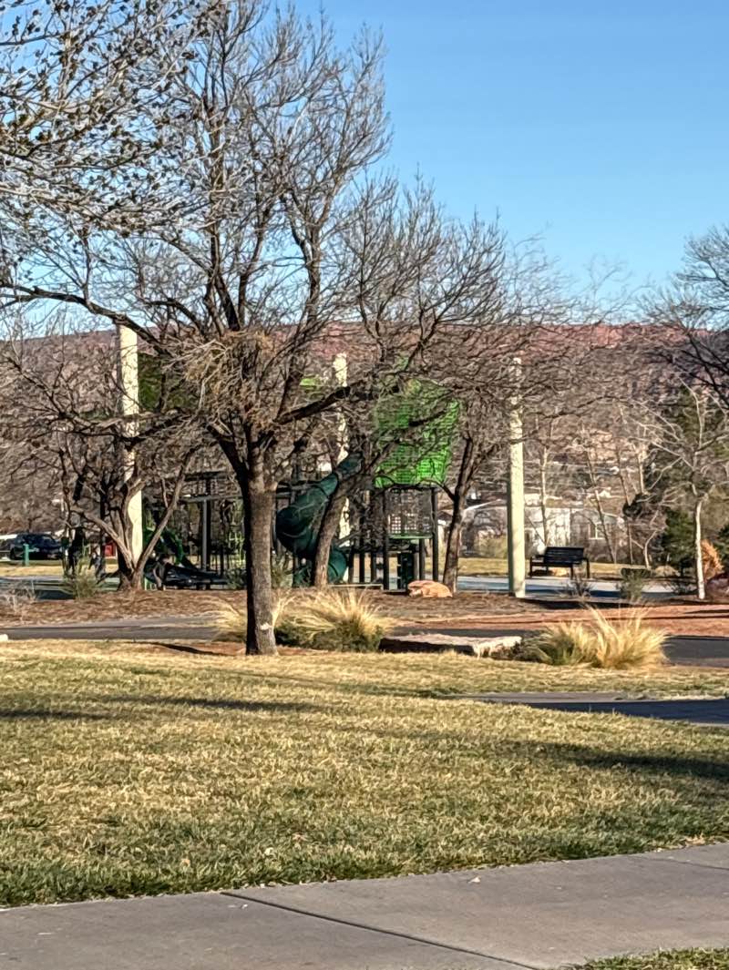 walking near me in 2450 East Park in winter